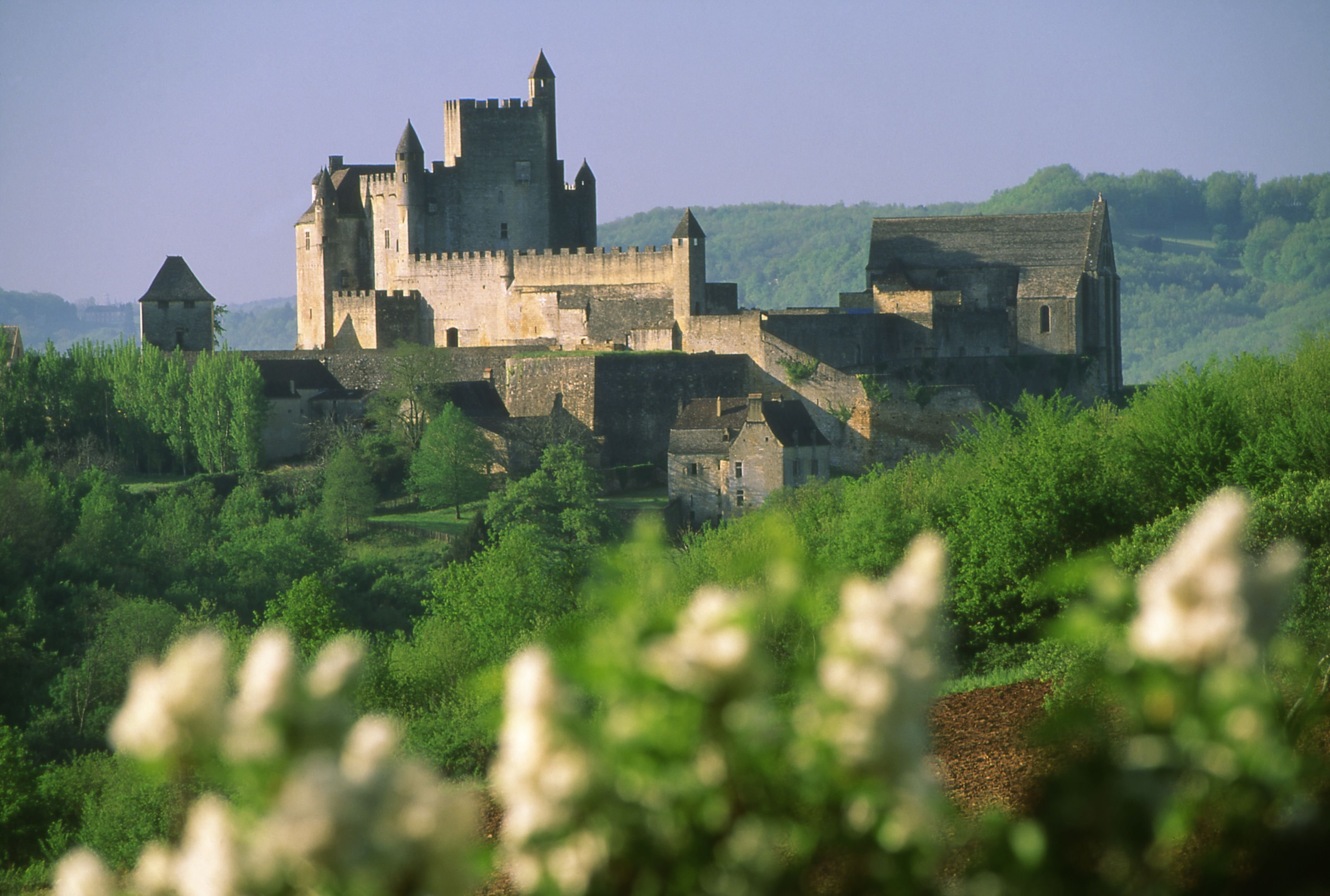BEYNAC - château vue nord avec lilas blancs